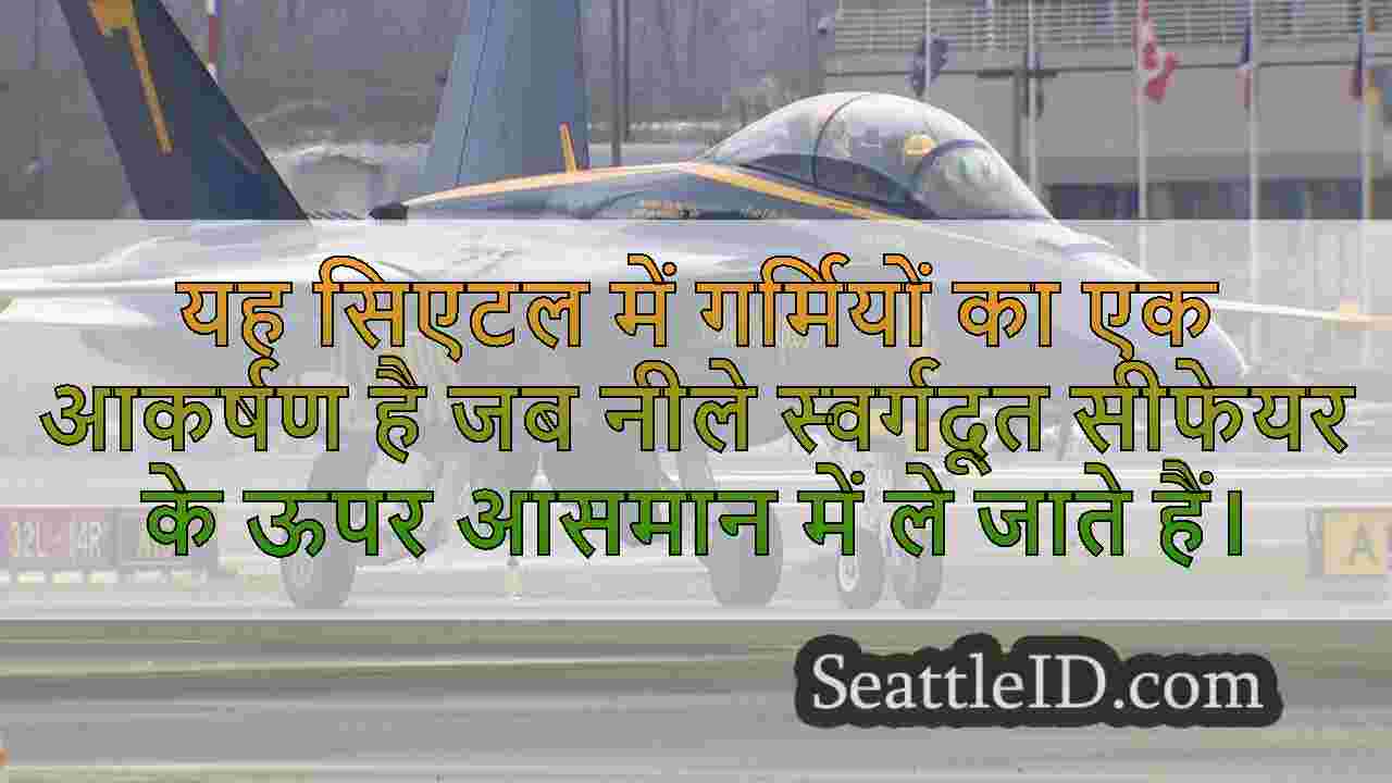 यूएस नेवी ब्लू एन्जिल्स समर सीफेयर
