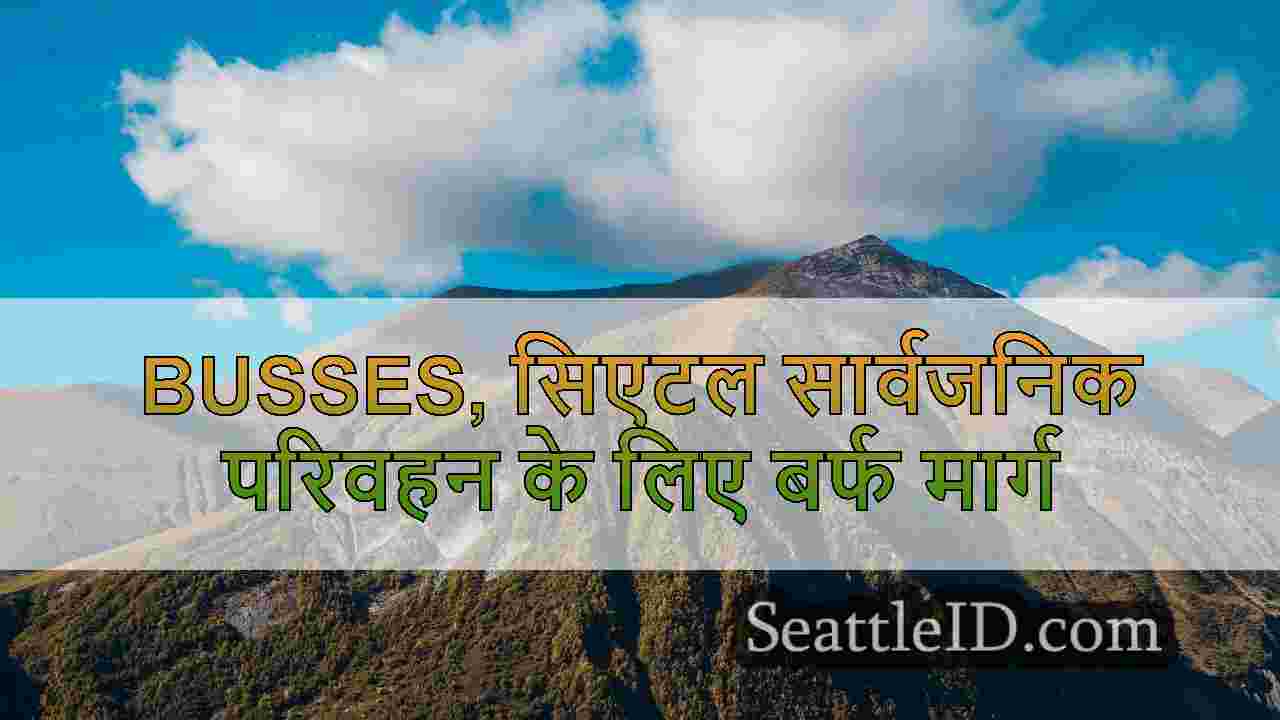 सिएटल समाचार SeattleID