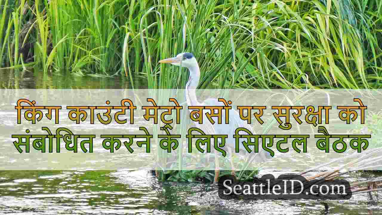 सिएटल समाचार SeattleID