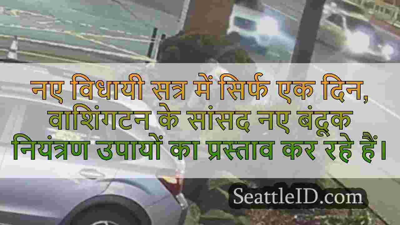 सिएटल समाचार SeattleID