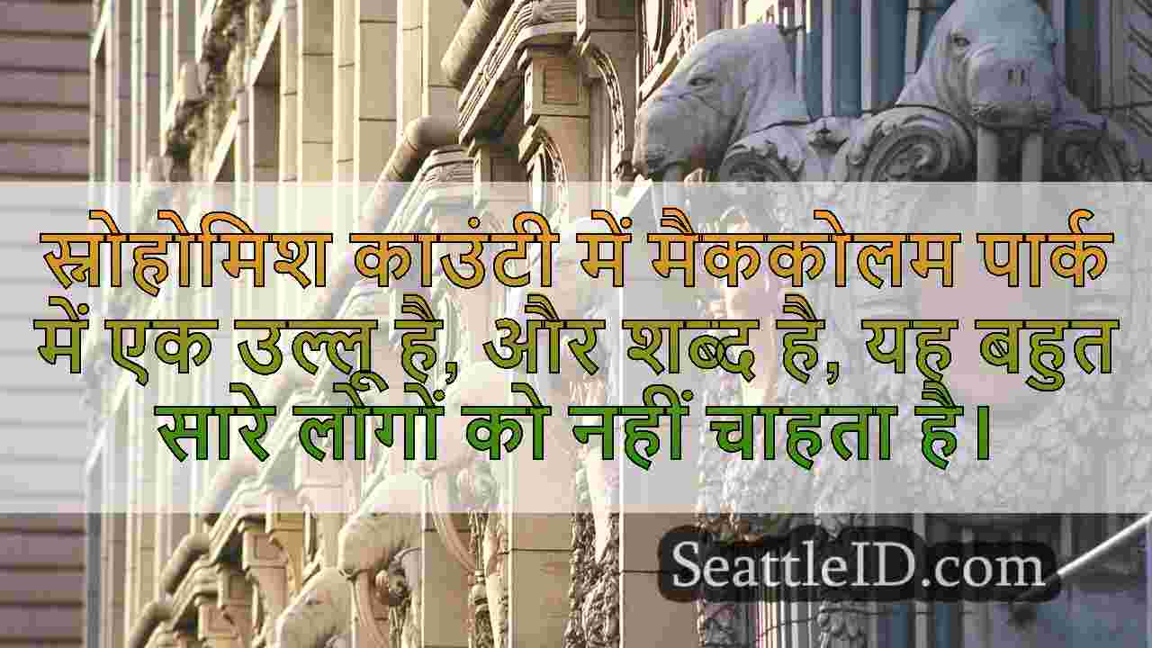 सिएटल समाचार SeattleID