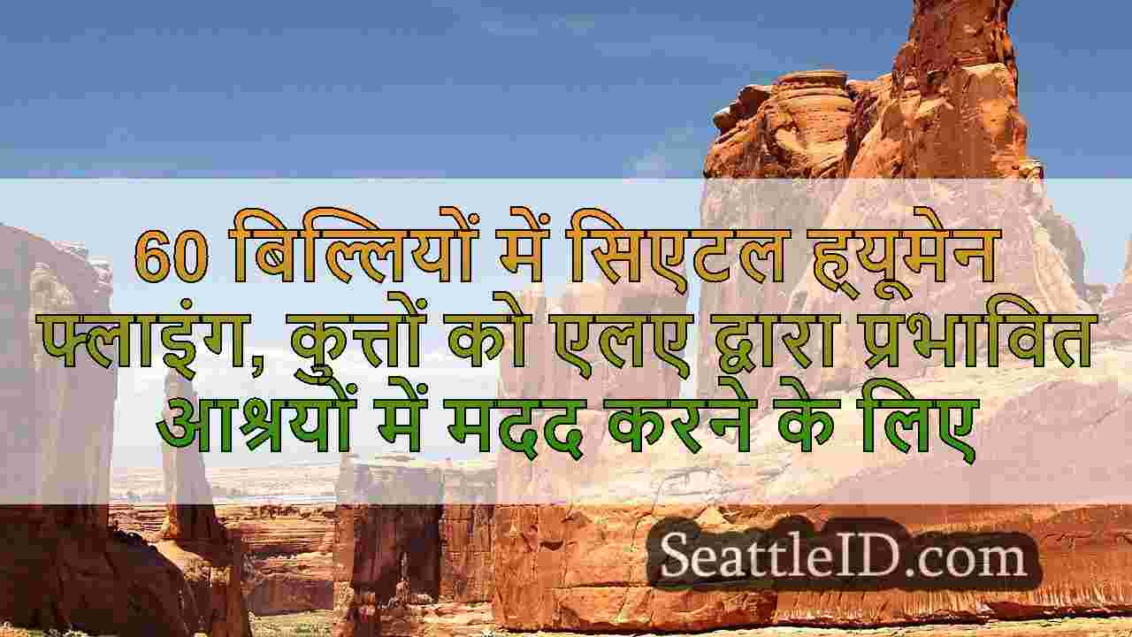 सिएटल समाचार SeattleID