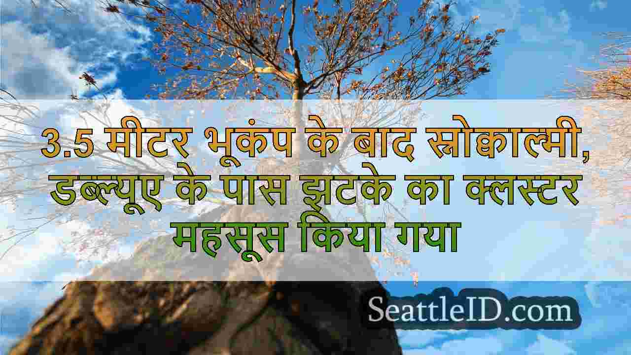 सिएटल समाचार SeattleID