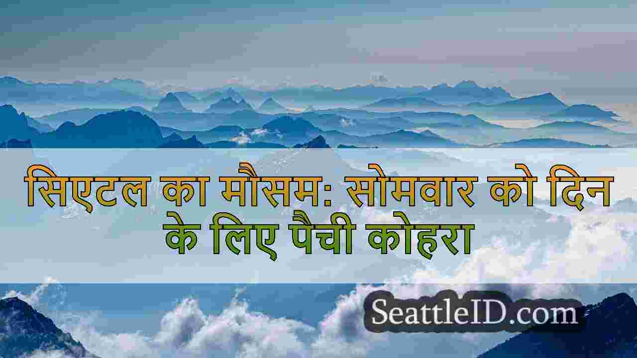 सिएटल समाचार SeattleID