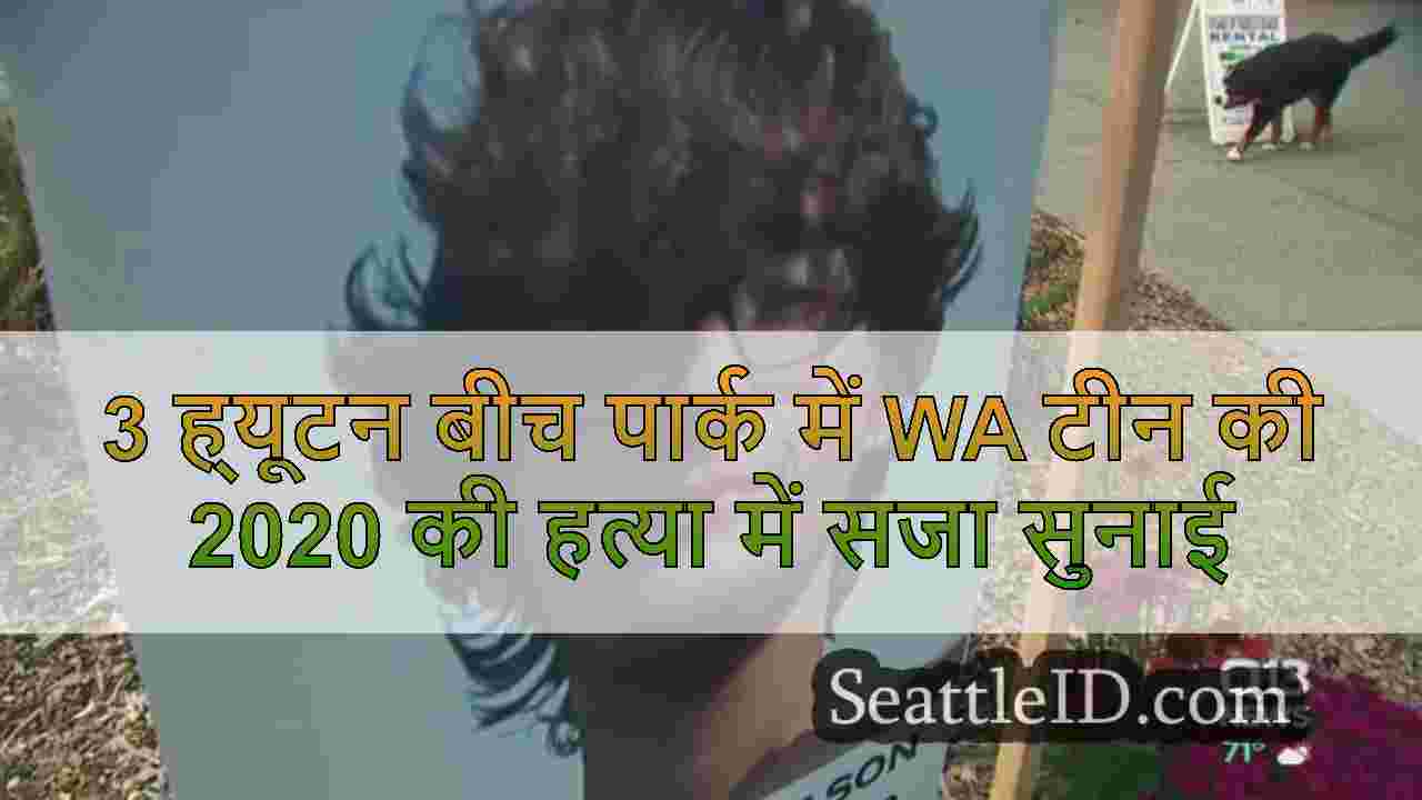 3 ह्यूटन बीच पार्क में WA टीन की 2020