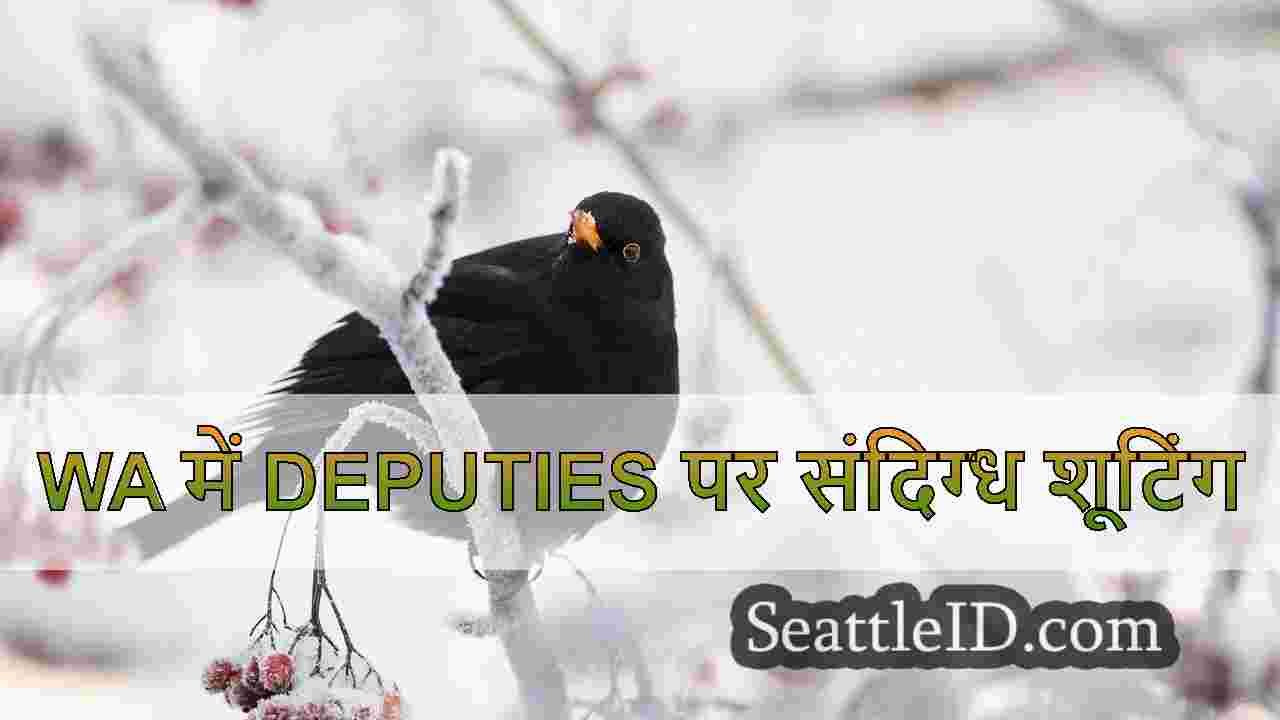 सिएटल समाचार SeattleID
