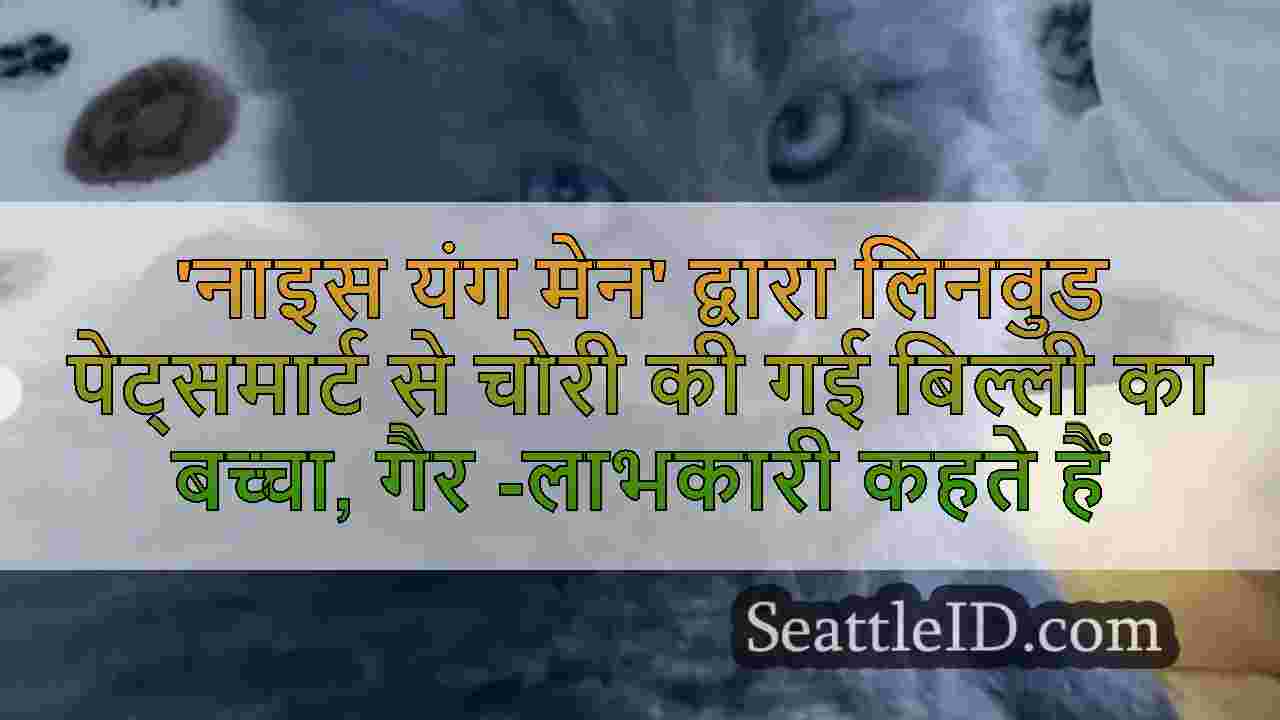 सिएटल समाचार SeattleID