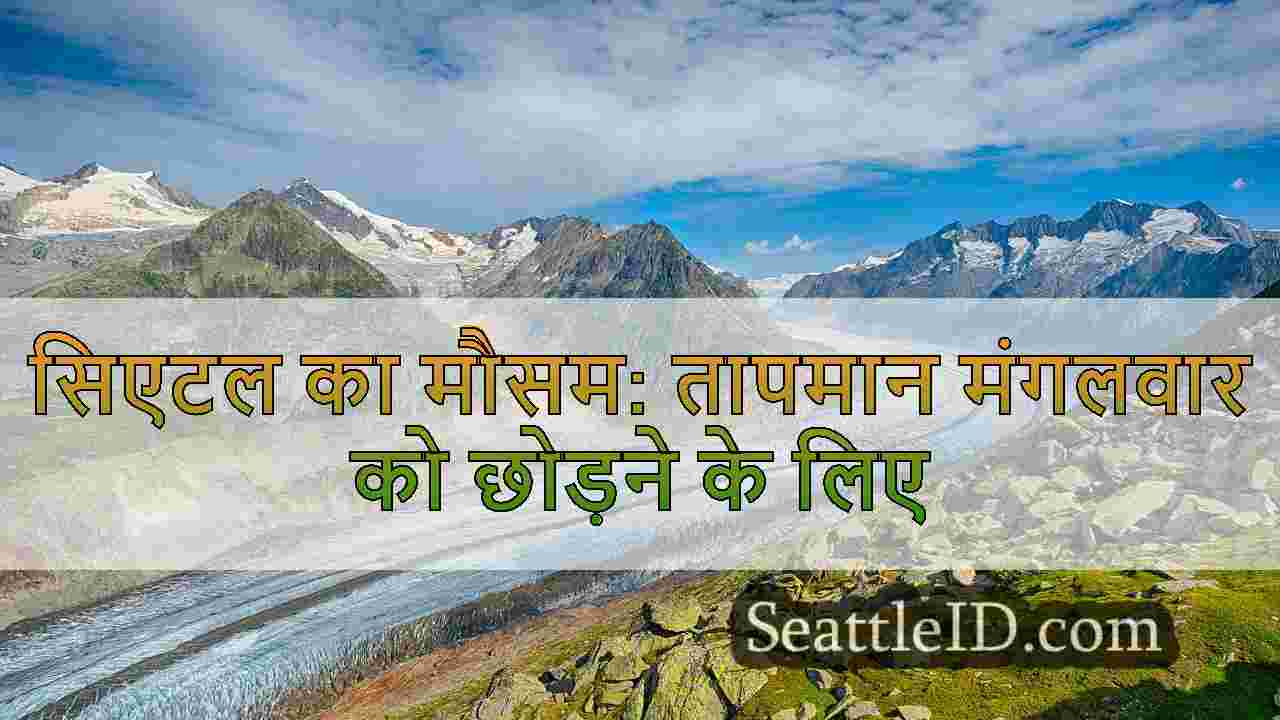 सिएटल समाचार SeattleID