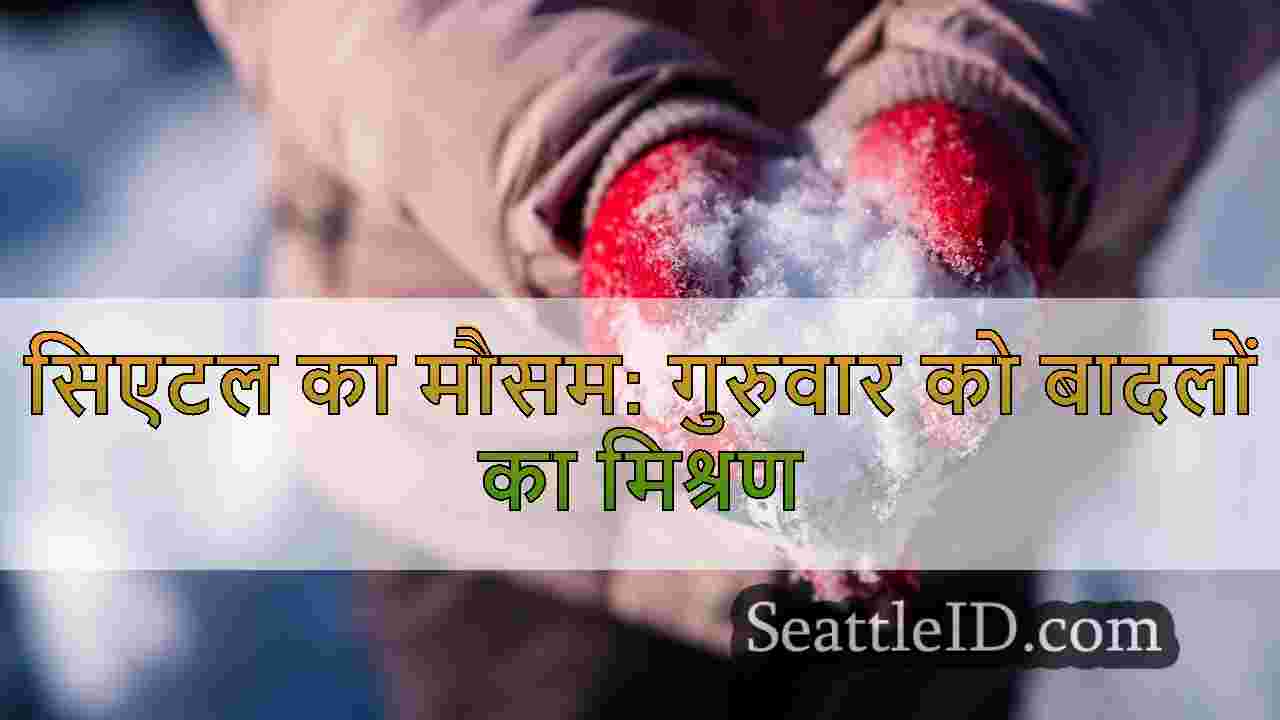 सिएटल समाचार SeattleID