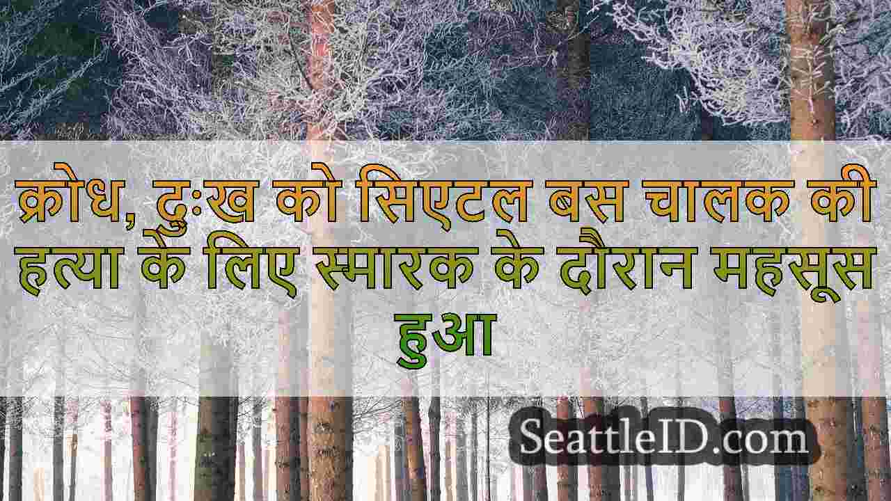 सिएटल समाचार SeattleID