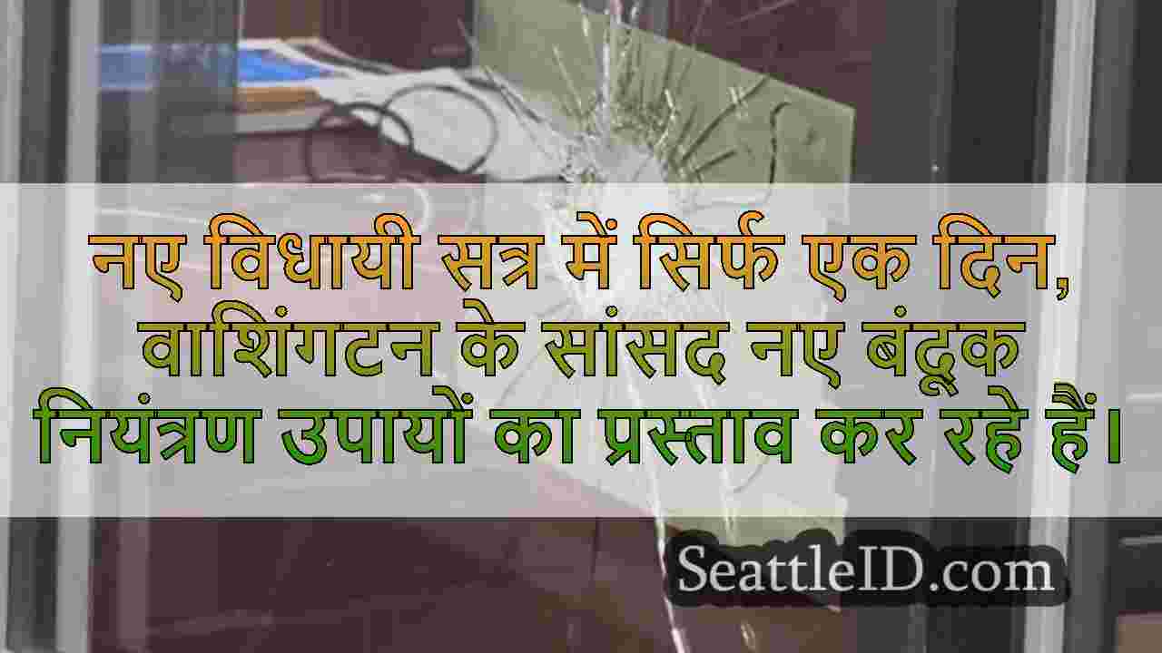 उत्तरी सिएटल शूटआउट की ऊँची एड़ी के