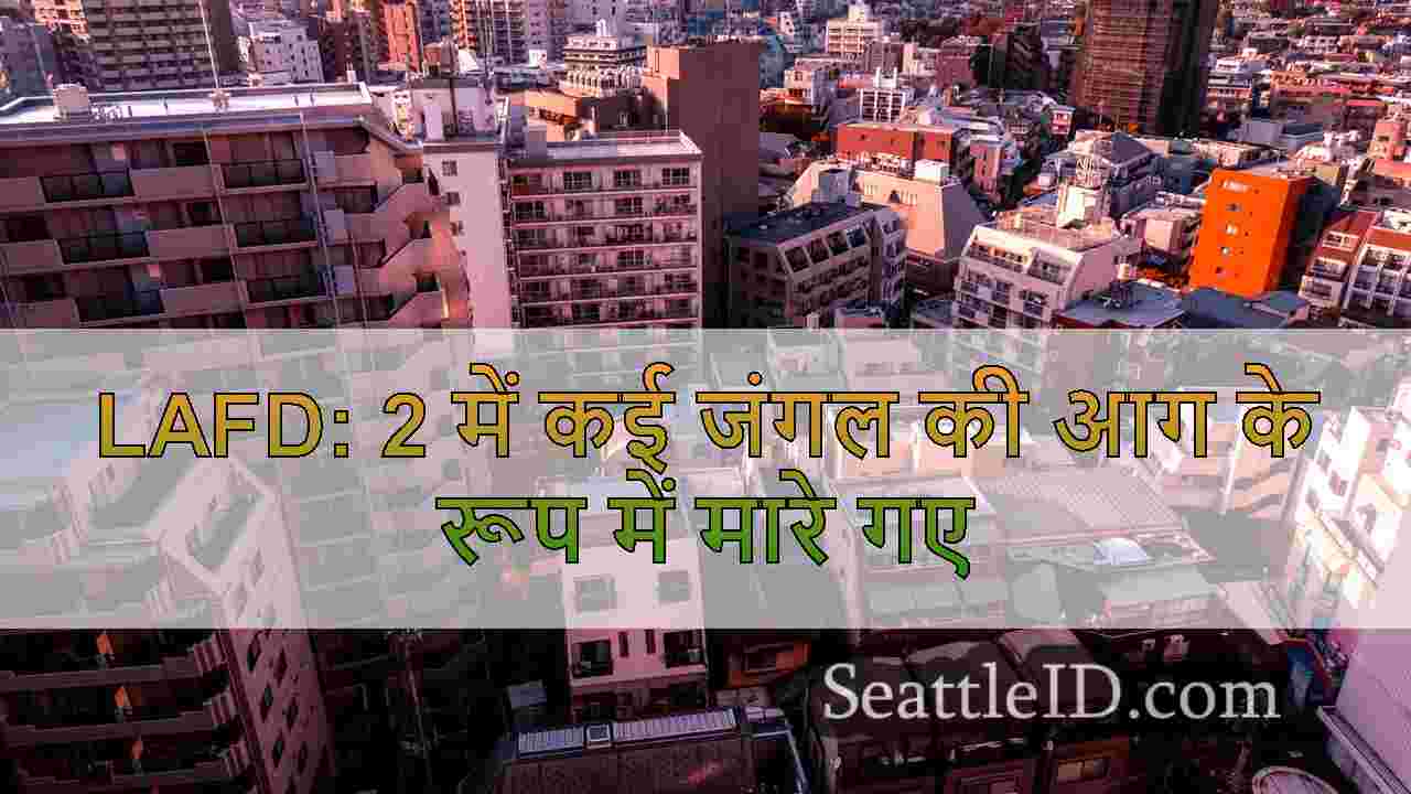 सिएटल समाचार SeattleID