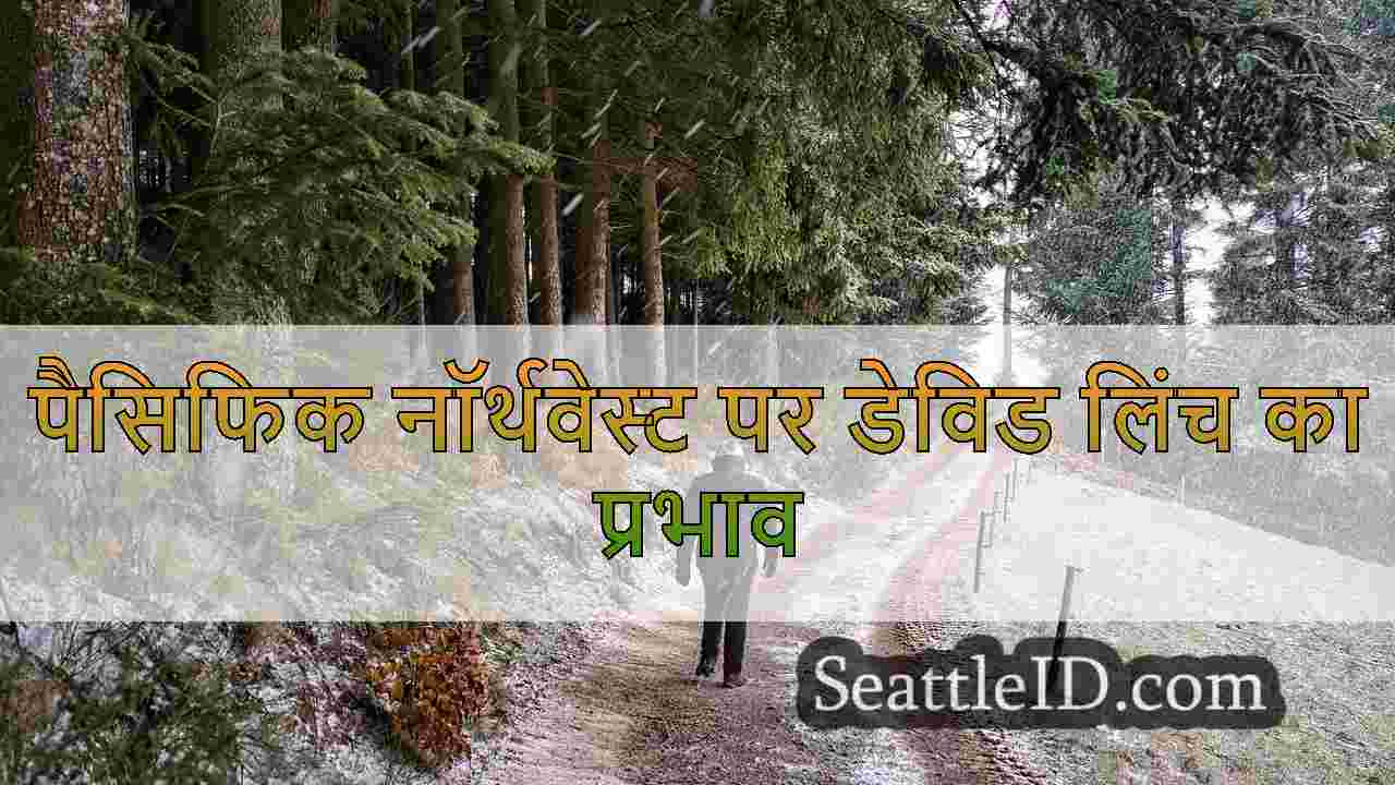 सिएटल समाचार SeattleID