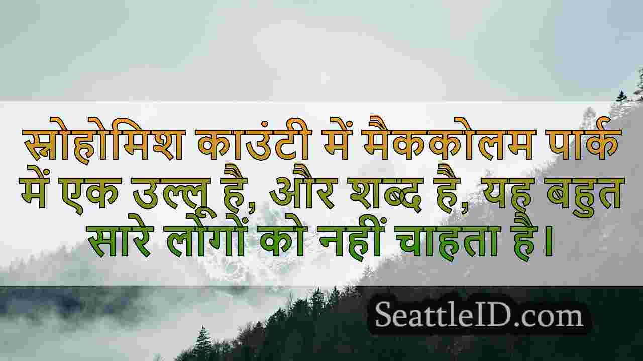 सिएटल समाचार SeattleID