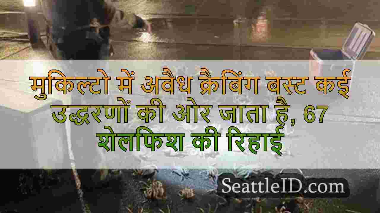 मुकिल्टो में अवैध क्रैबिंग बस्ट कई