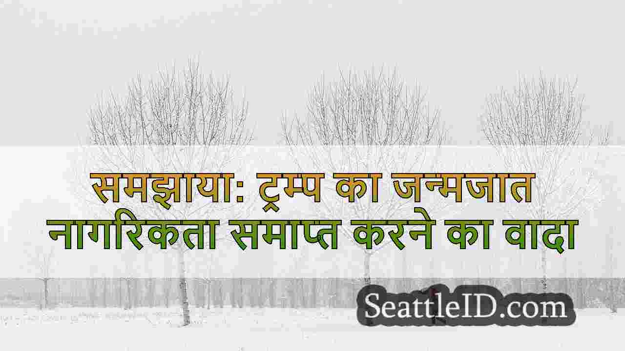 सिएटल समाचार SeattleID