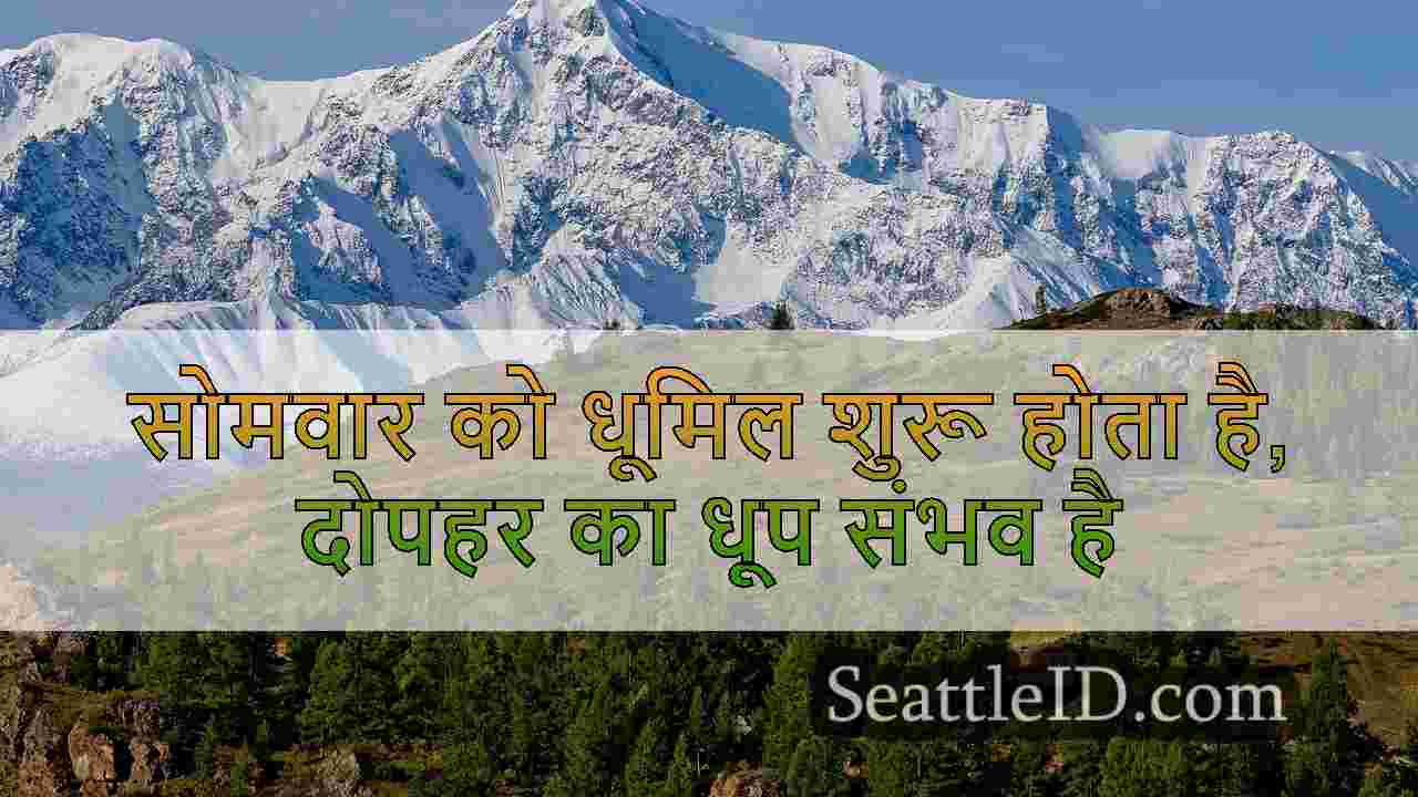सिएटल समाचार SeattleID