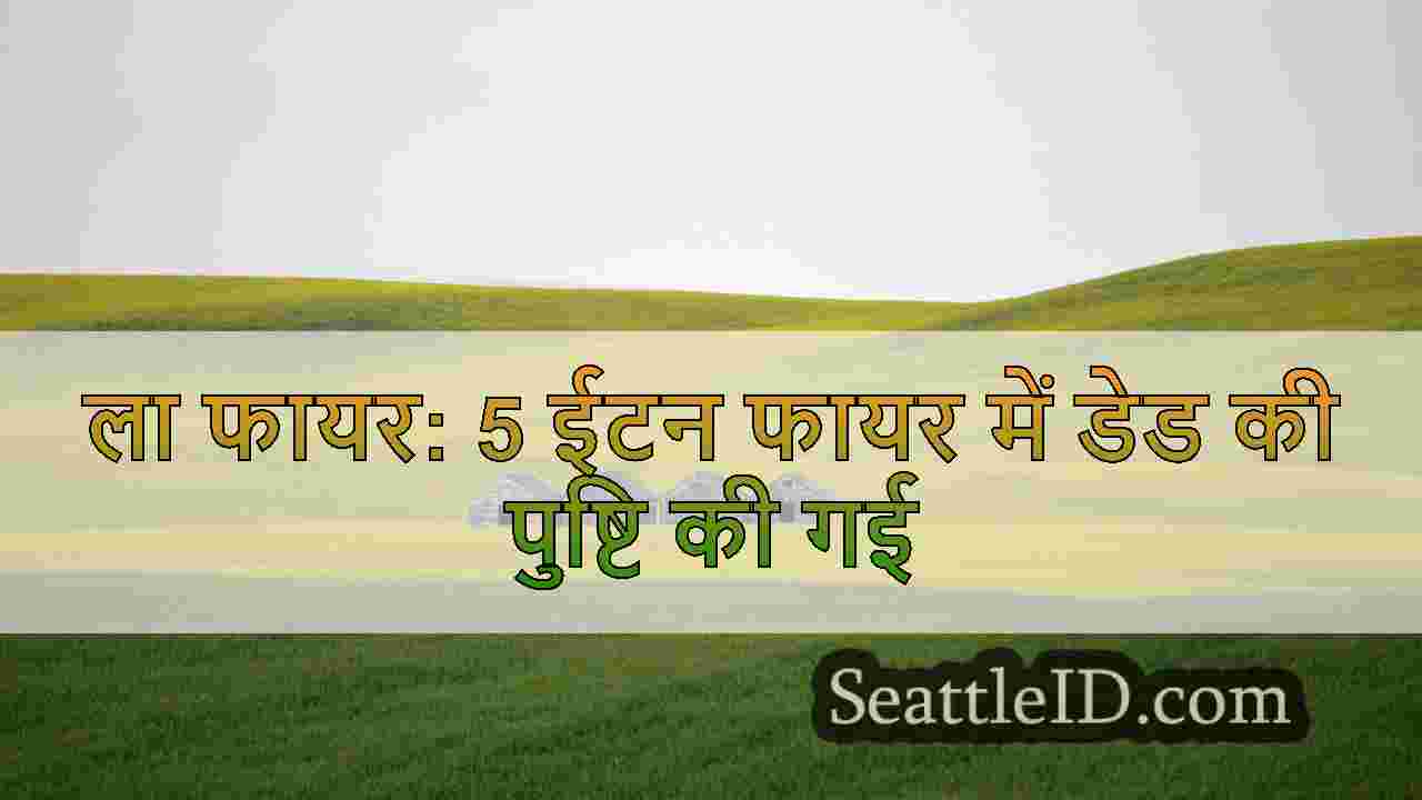 Uber, Lyft लॉस एंजिल्स वाइल्डफायर