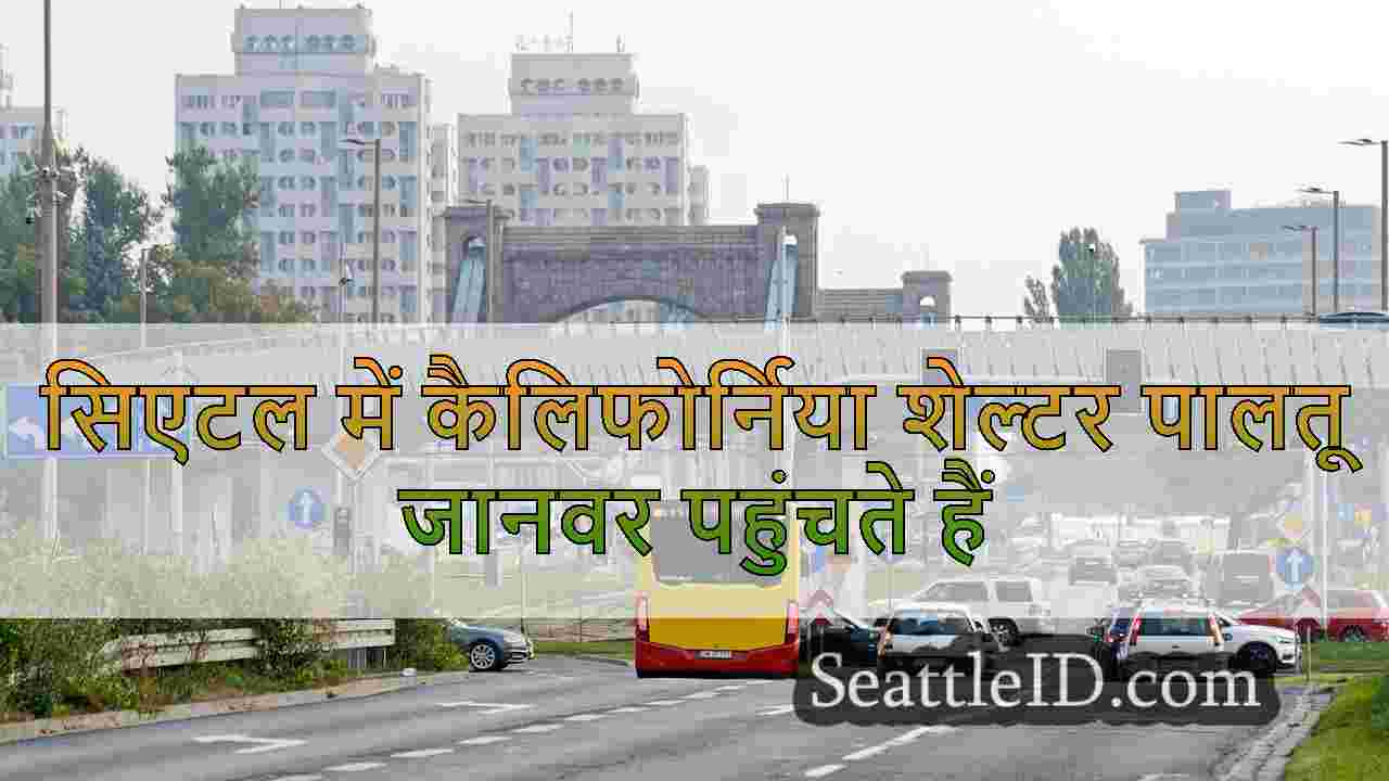 सिएटल समाचार SeattleID