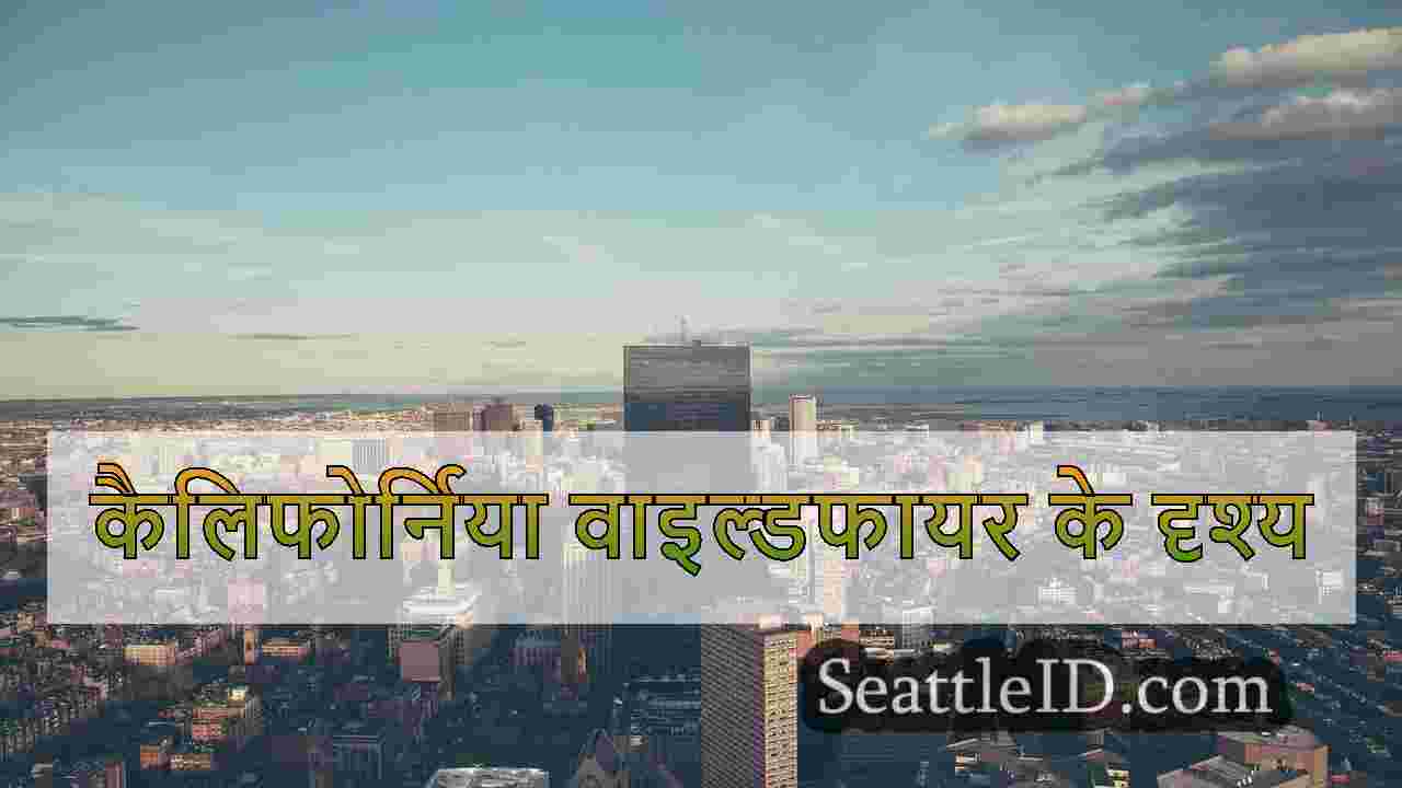 सिएटल समाचार SeattleID