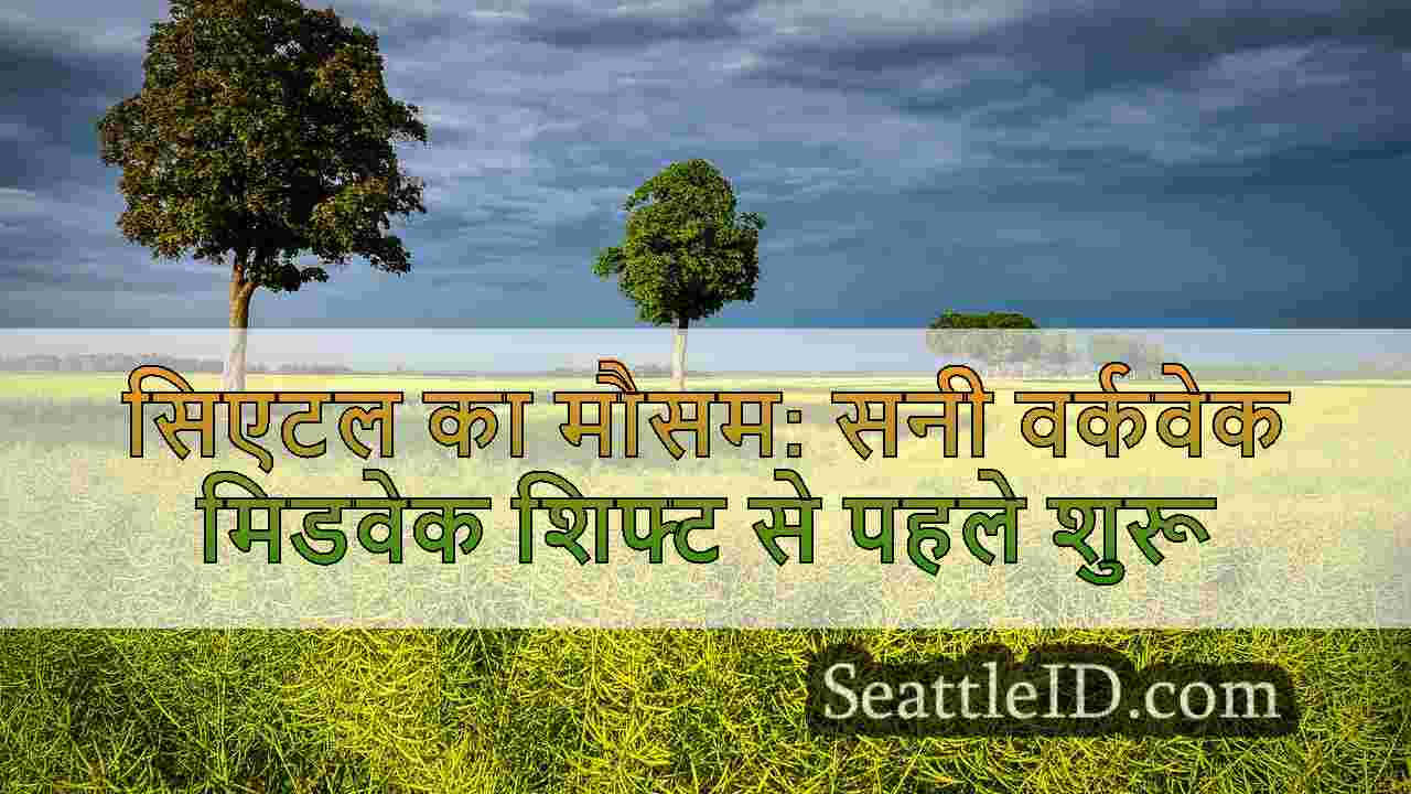 सिएटल समाचार SeattleID