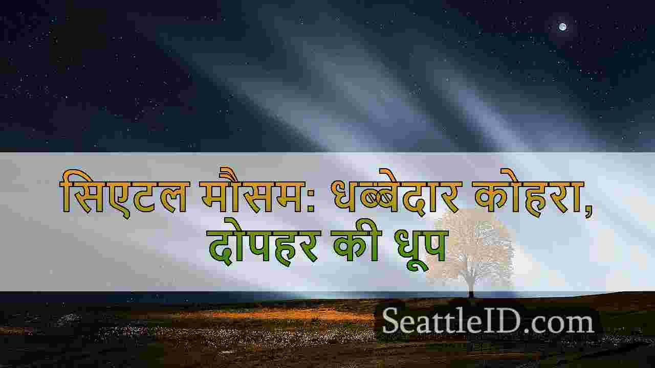 सिएटल समाचार SeattleID