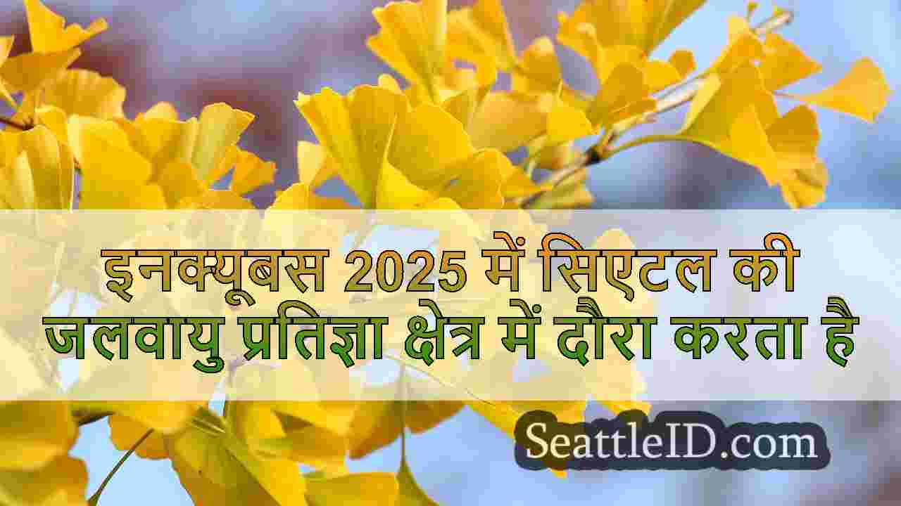 सिएटल समाचार SeattleID