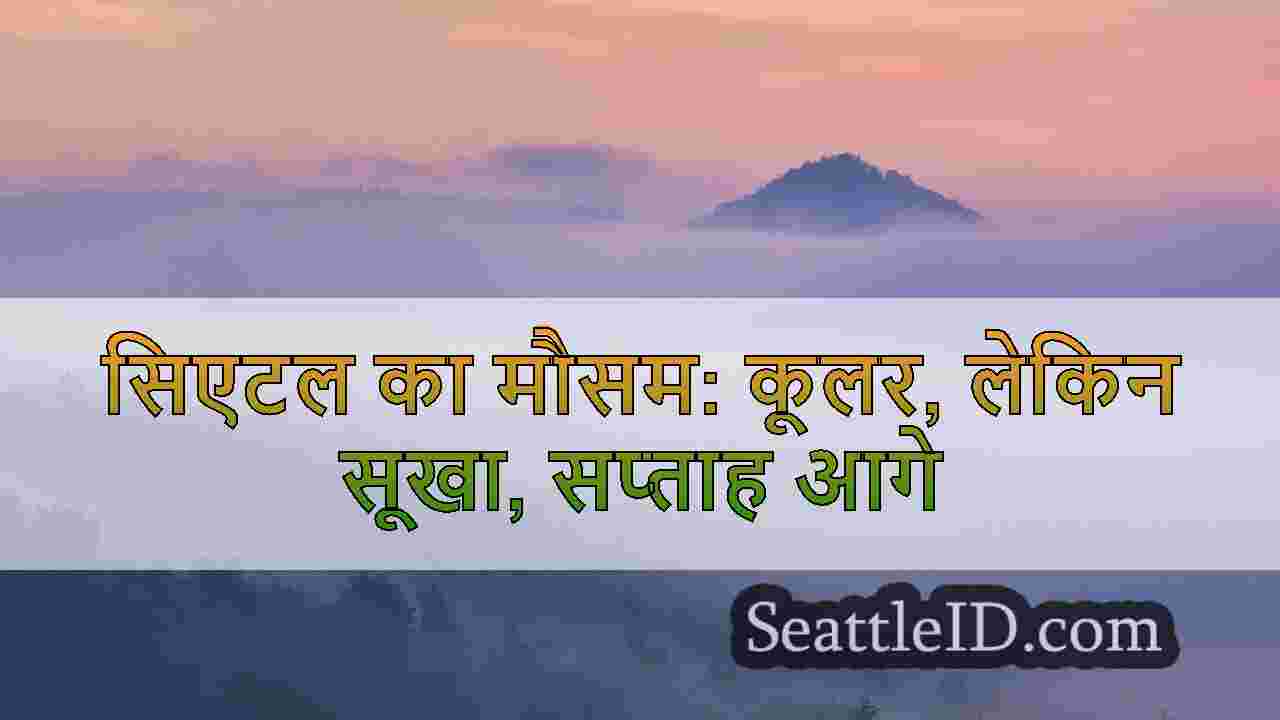 सिएटल समाचार SeattleID
