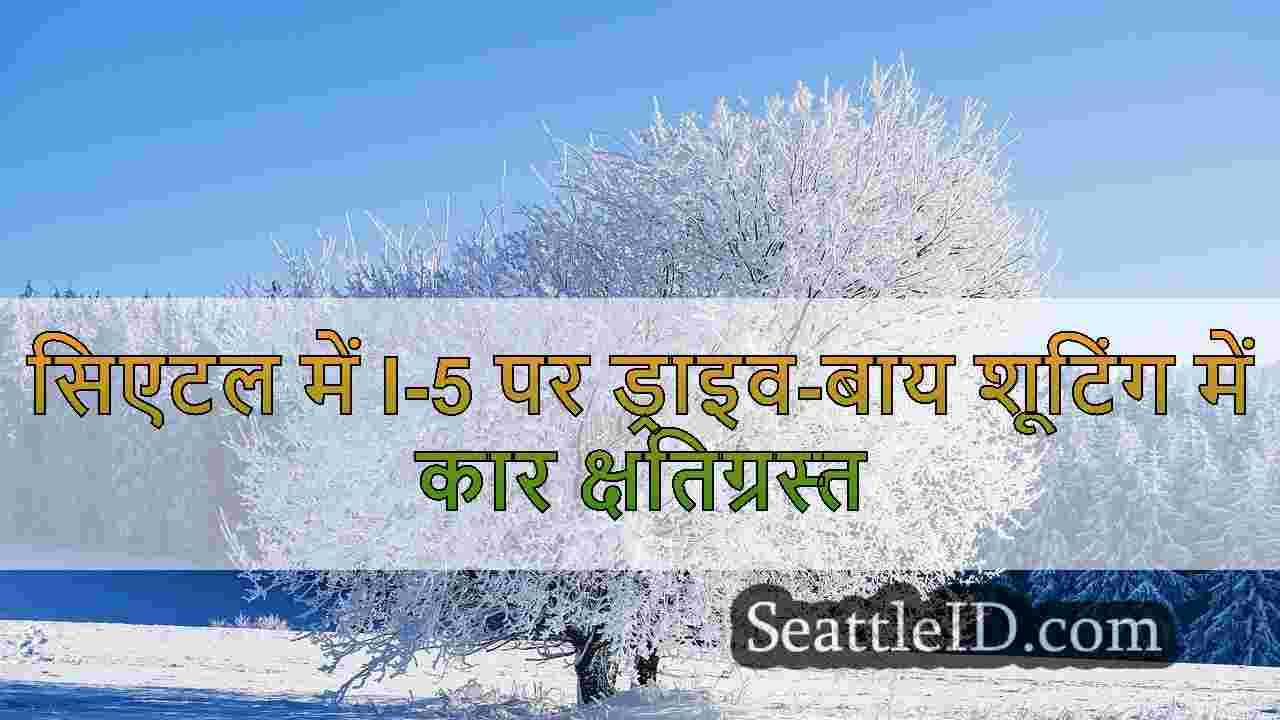 सिएटल समाचार SeattleID