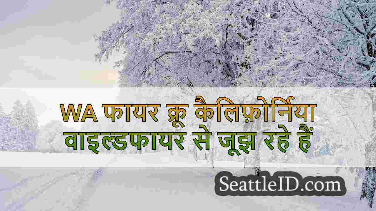 सिएटल समाचार SeattleID