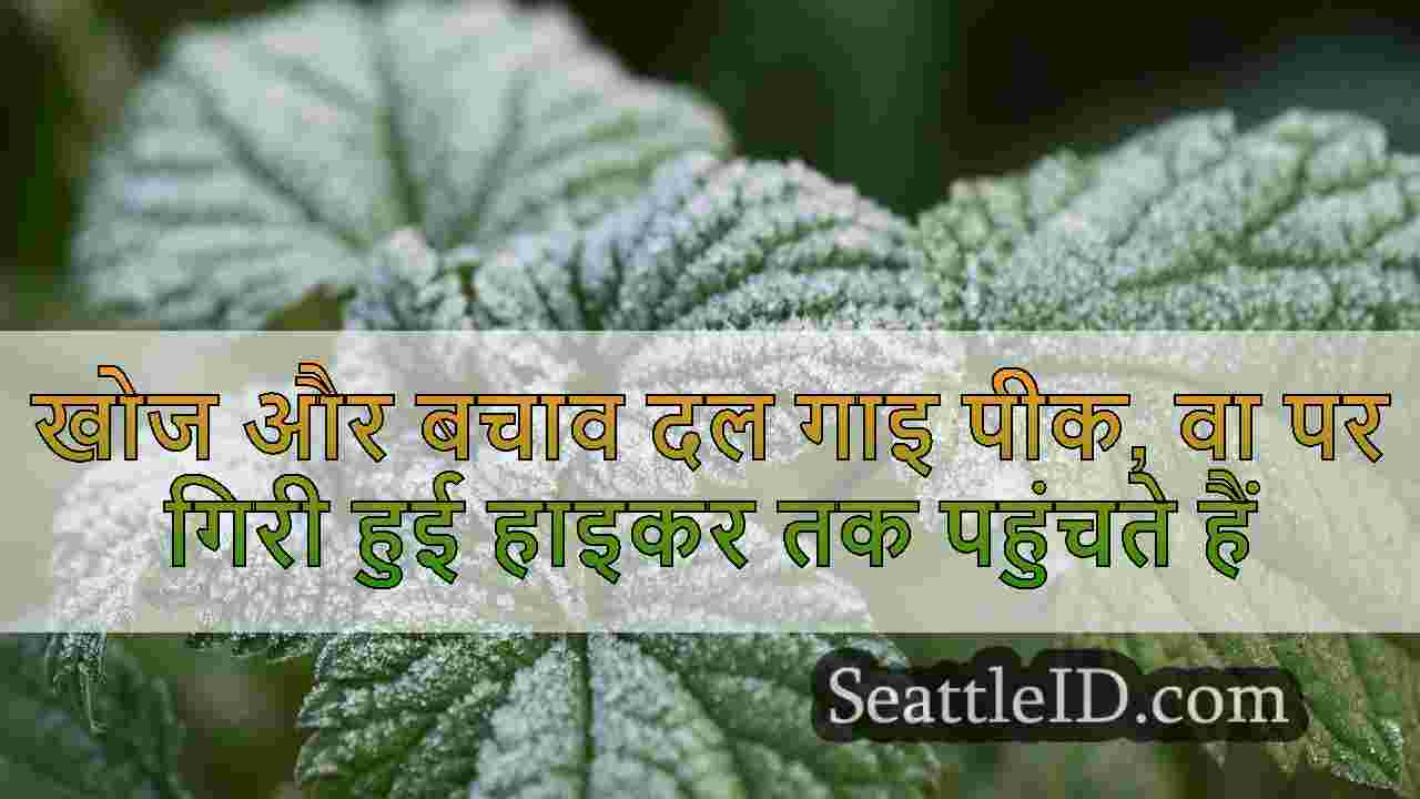 सिएटल समाचार SeattleID