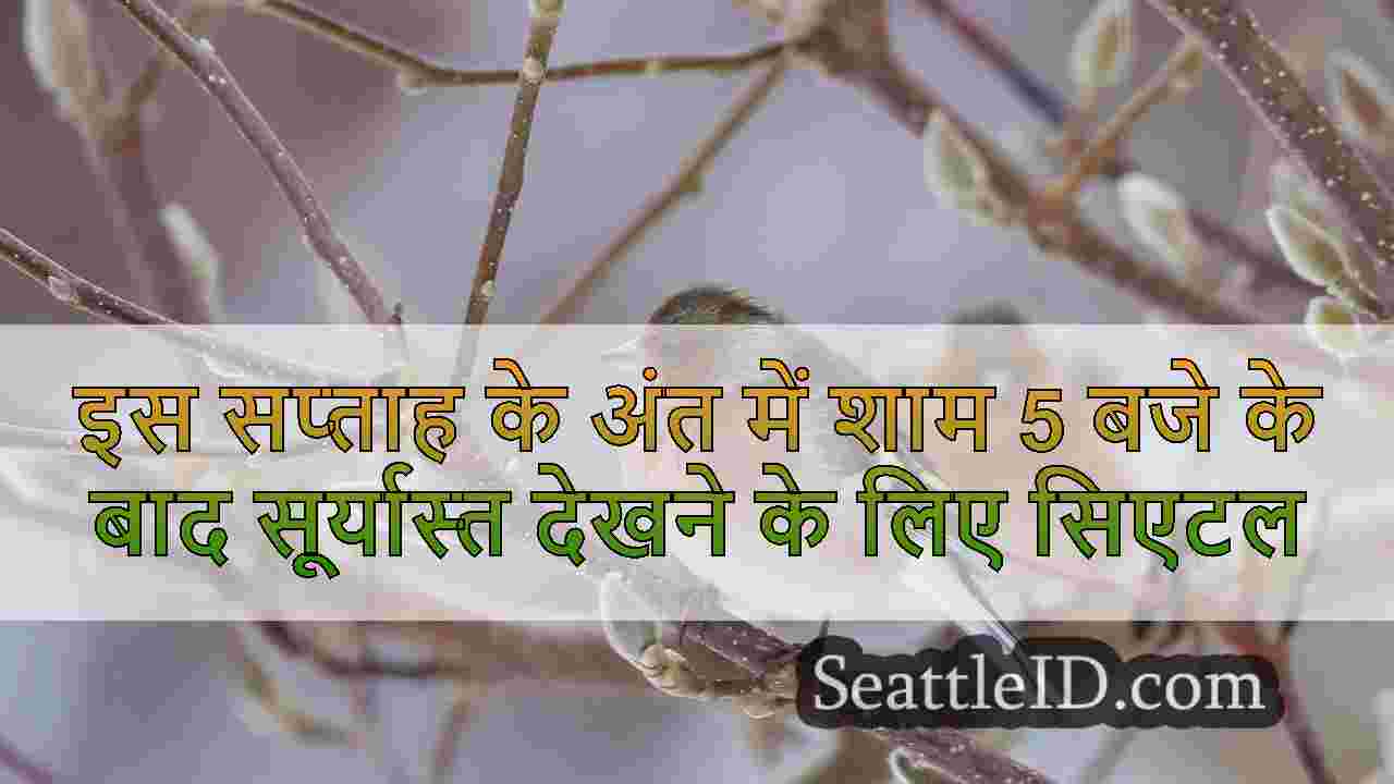 सिएटल समाचार SeattleID
