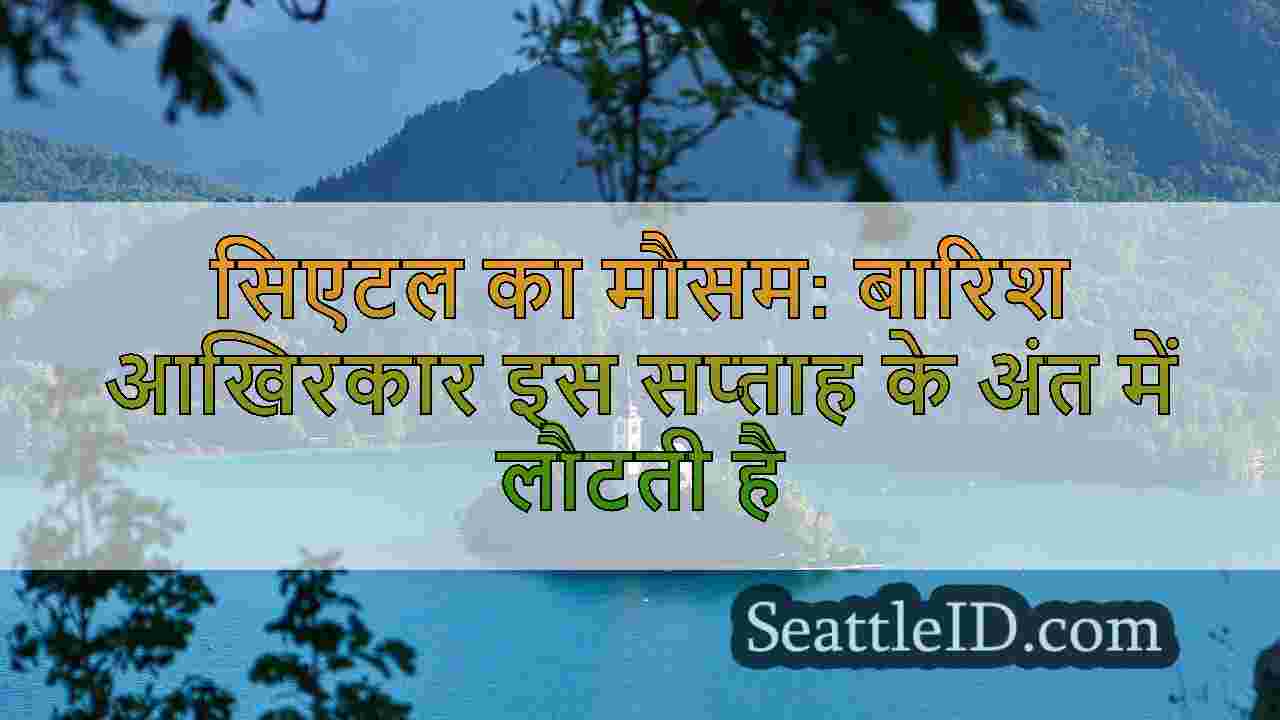 सिएटल समाचार SeattleID