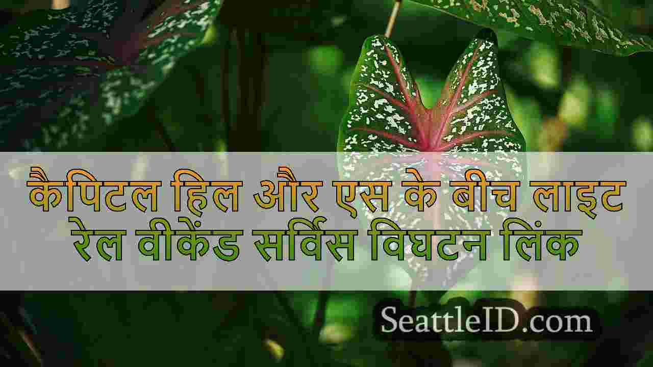 सिएटल समाचार SeattleID