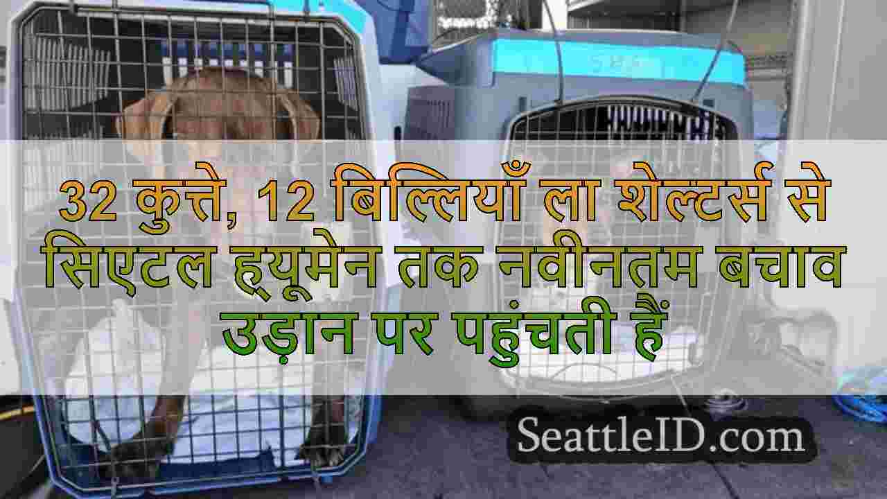 सिएटल समाचार SeattleID