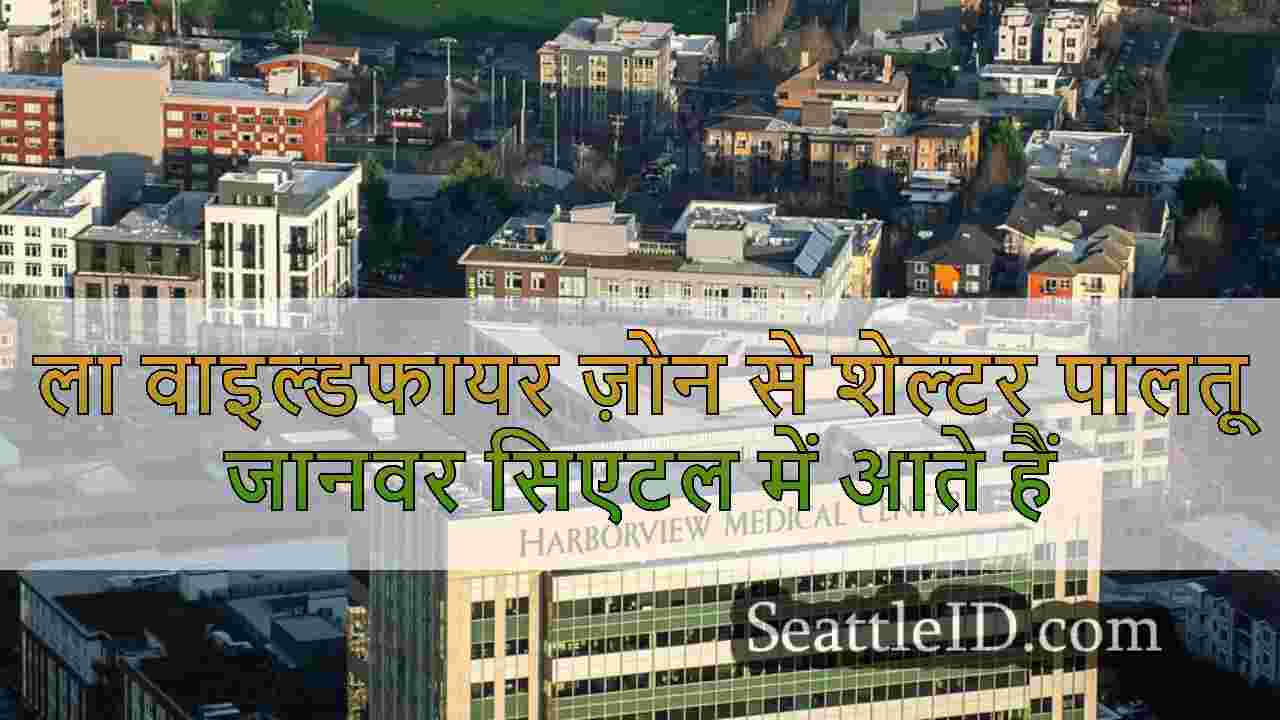 ला वाइल्डफायर ज़ोन से शेल्टर पालतू