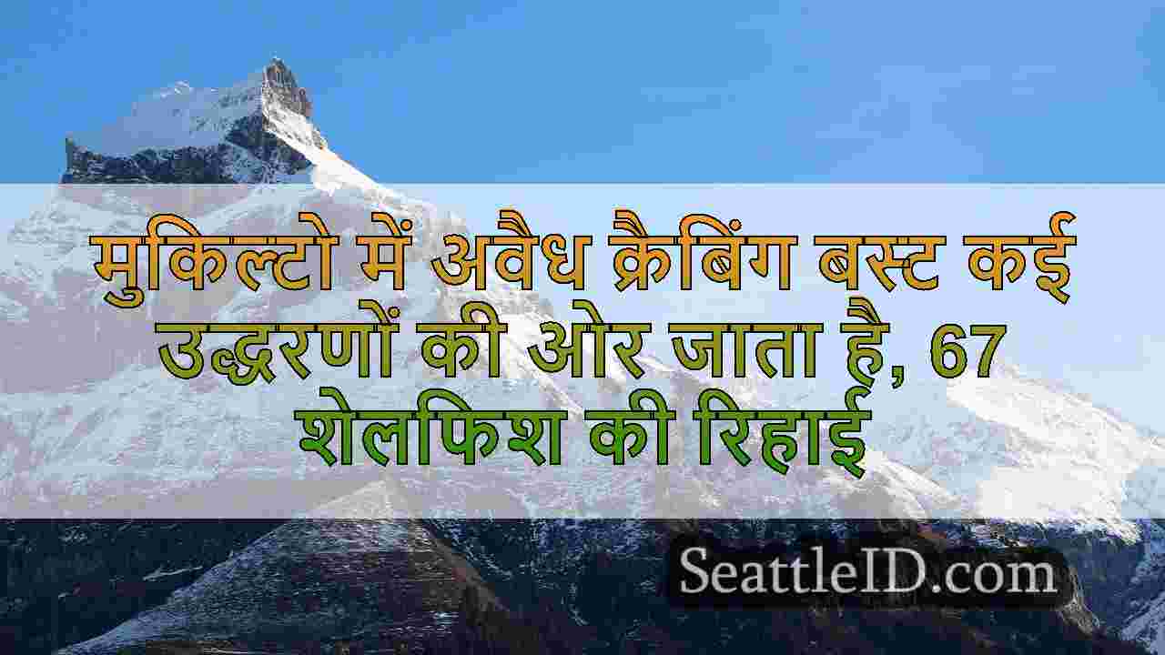 सिएटल समाचार SeattleID