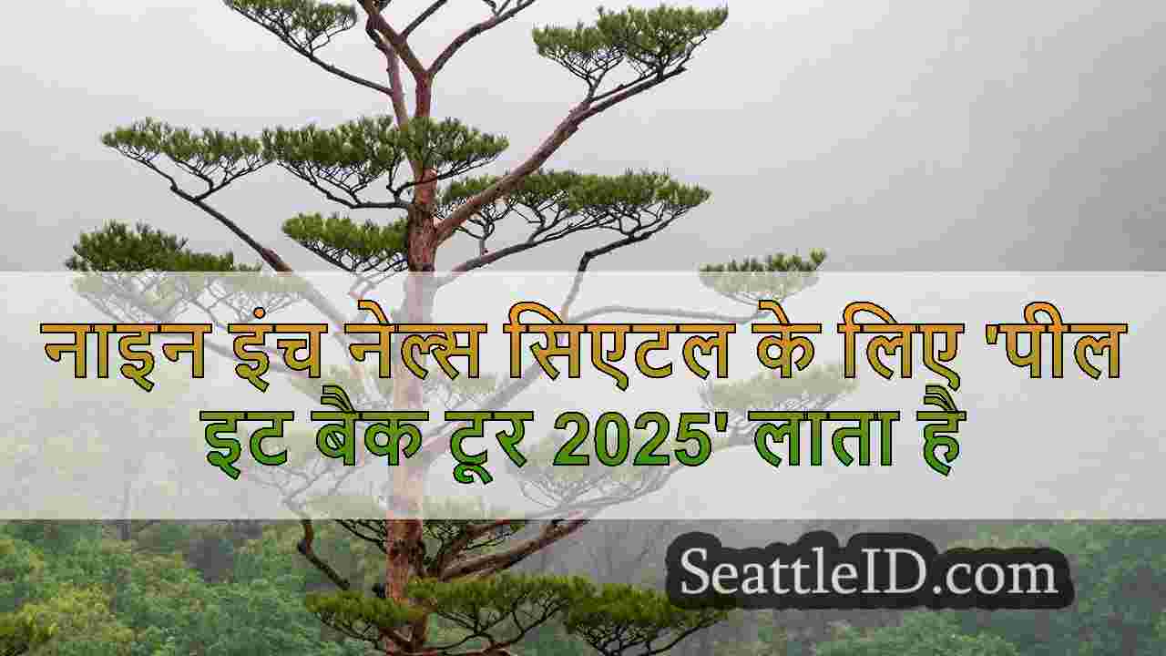 नाइन इंच नेल्स सिएटल के लिए 'पील इट बैक