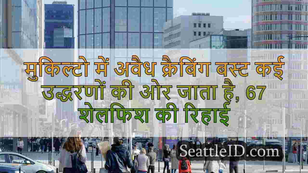 सिएटल समाचार SeattleID