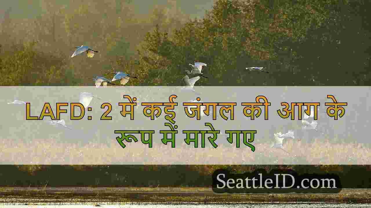 लॉस एंजिल्स वाइल्डफायर नवीनतम: 5 मृतक