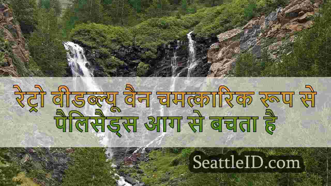 सिएटल समाचार SeattleID