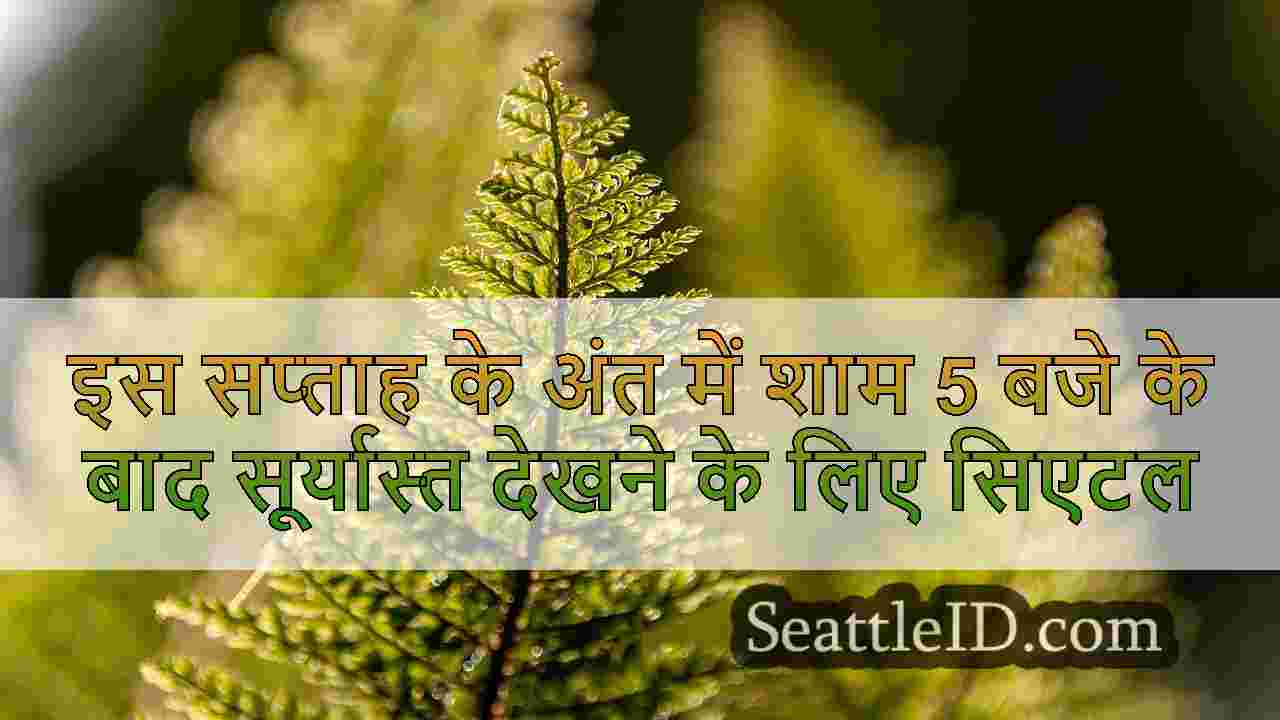 सिएटल समाचार SeattleID