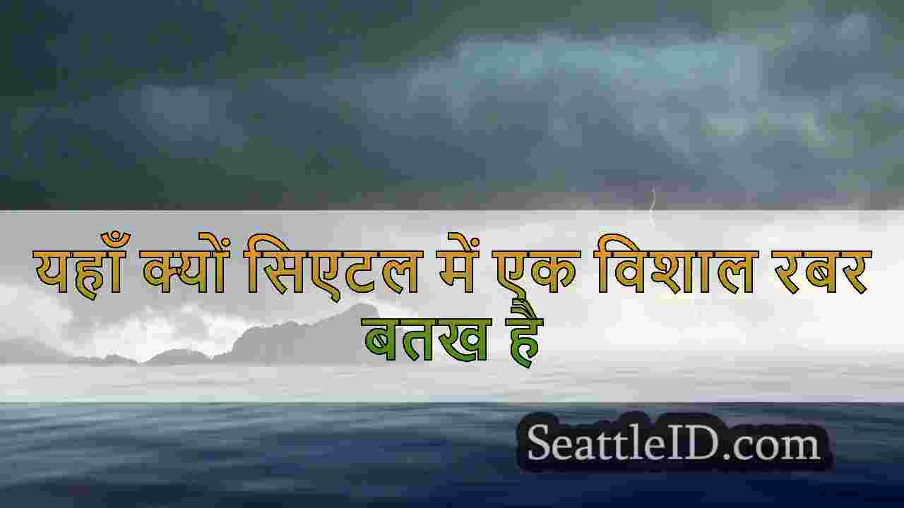 यहाँ क्यों सिएटल में एक विशाल रबर बतख है