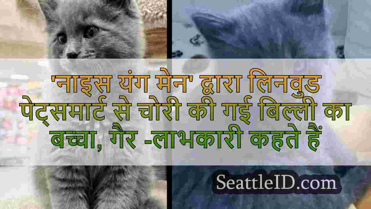 'नाइस यंग मेन' द्वारा लिनवुड पेट्समार्ट