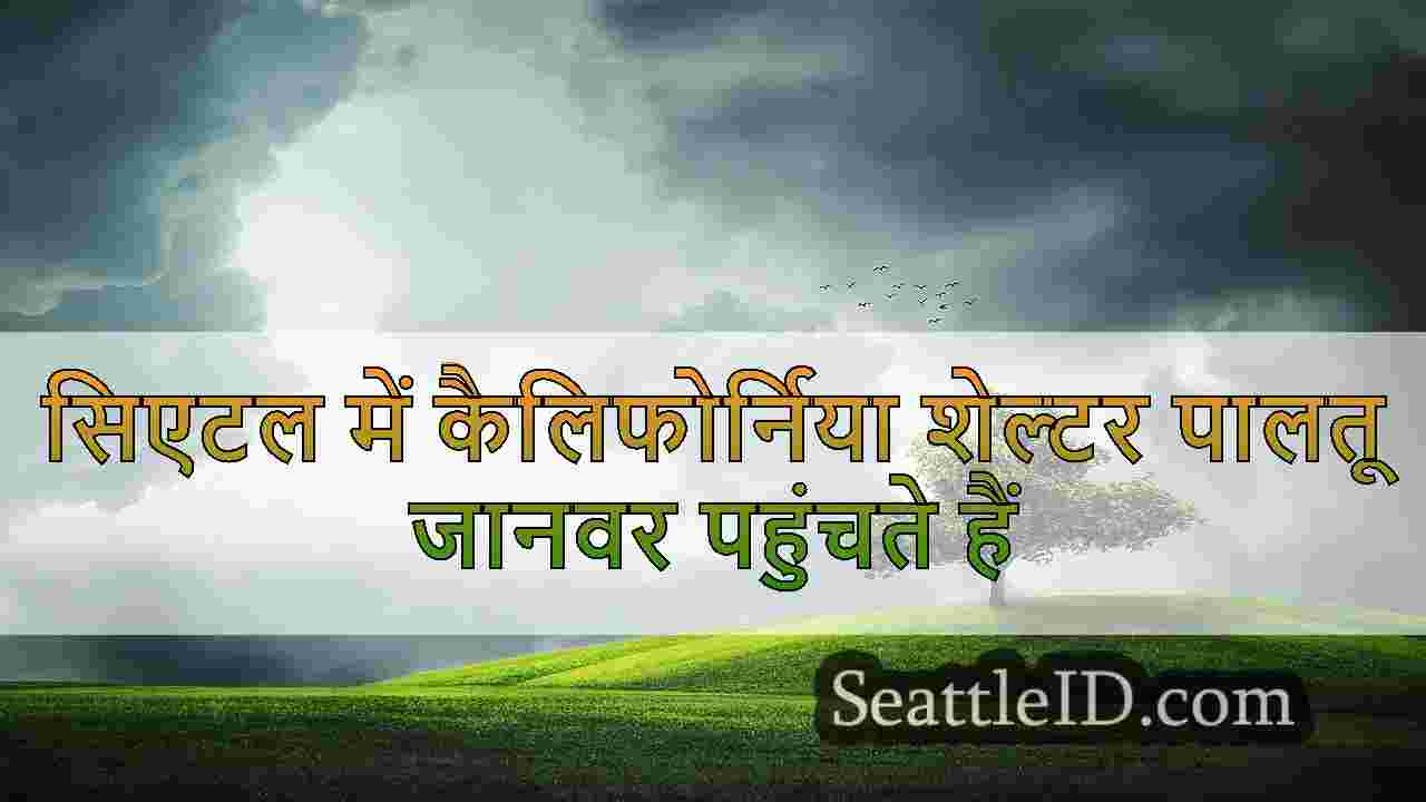 सिएटल समाचार SeattleID
