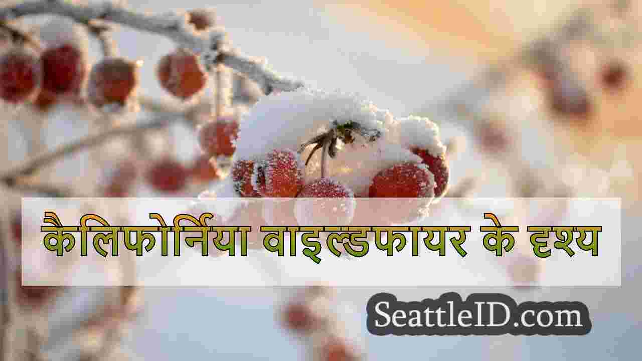 सिएटल समाचार SeattleID