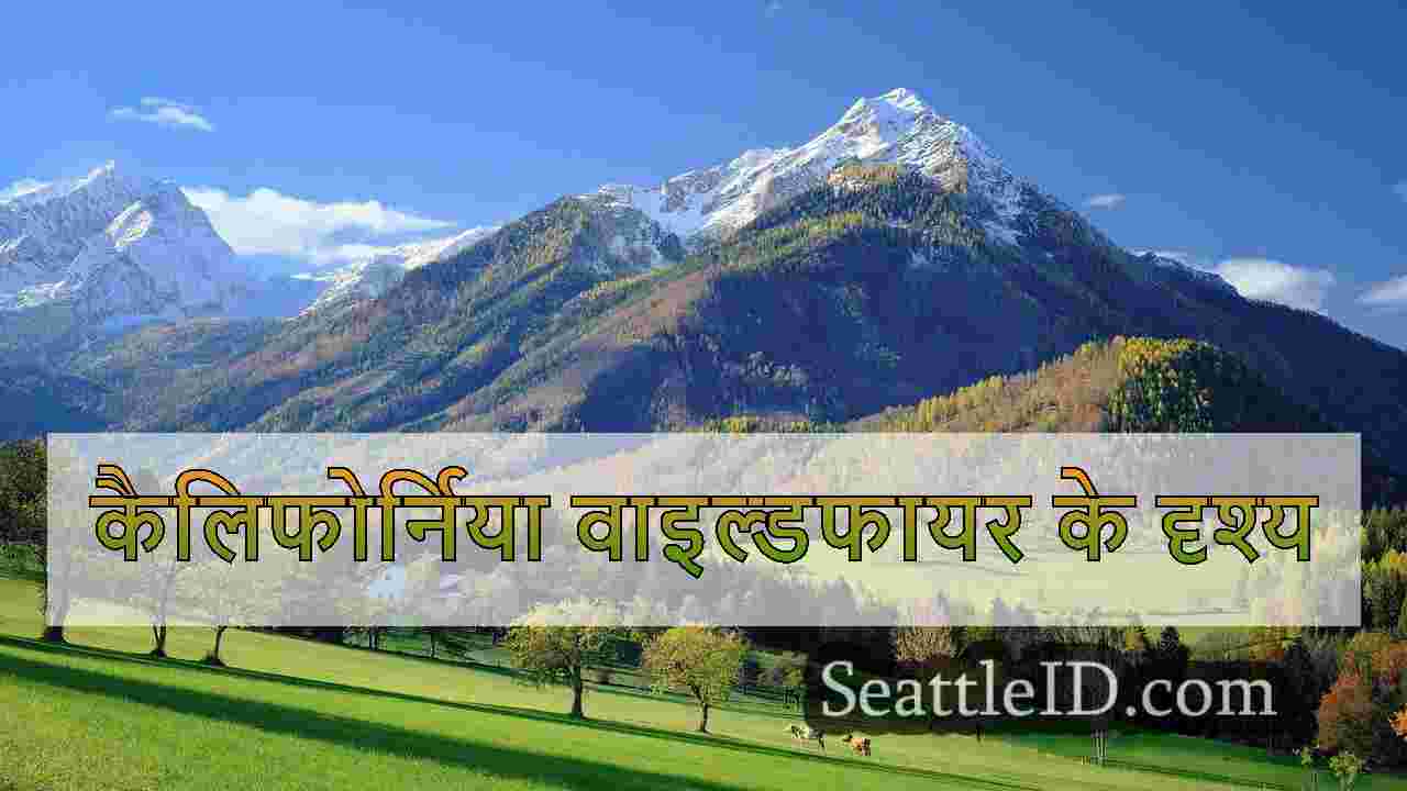 सिएटल पुलिस ने संदिग्ध ड्रग डीलर का