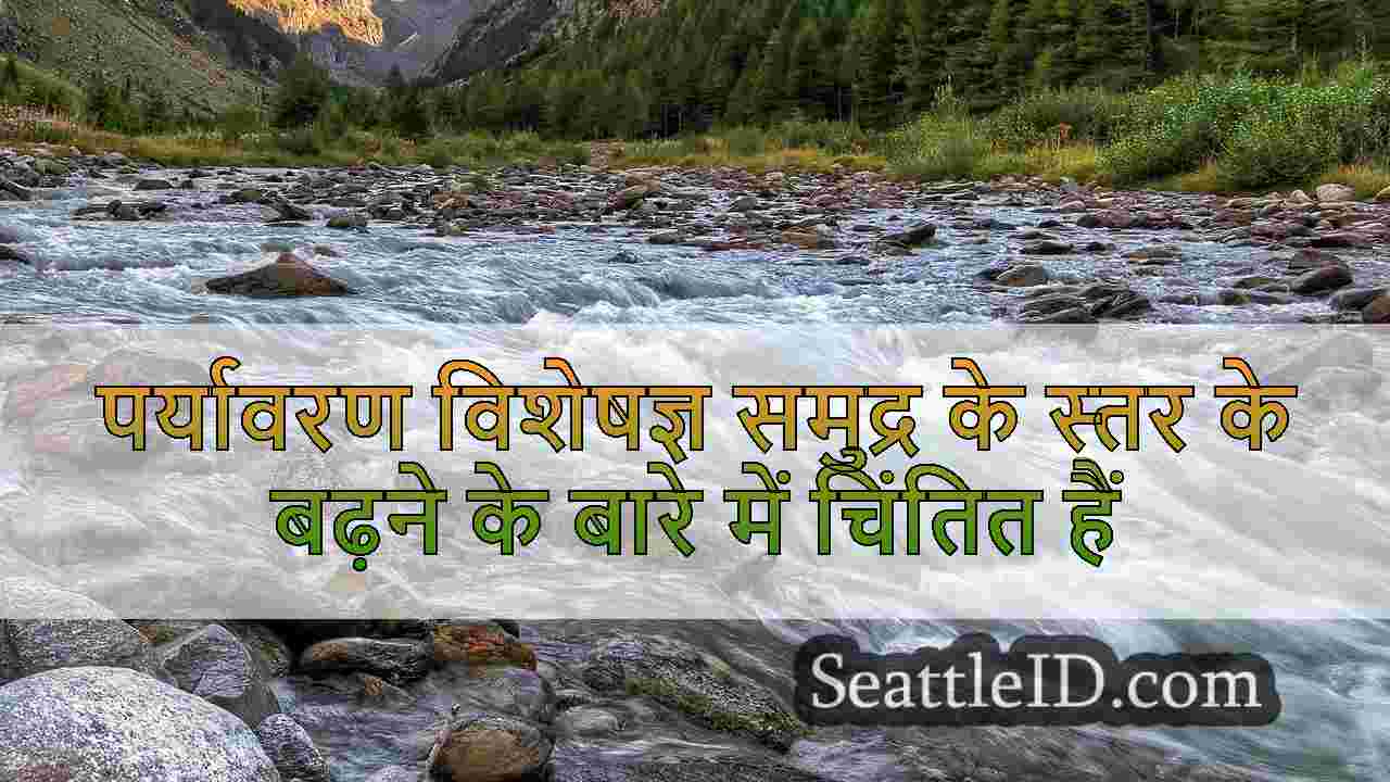 पर्यावरण विशेषज्ञ समुद्र के स्तर के