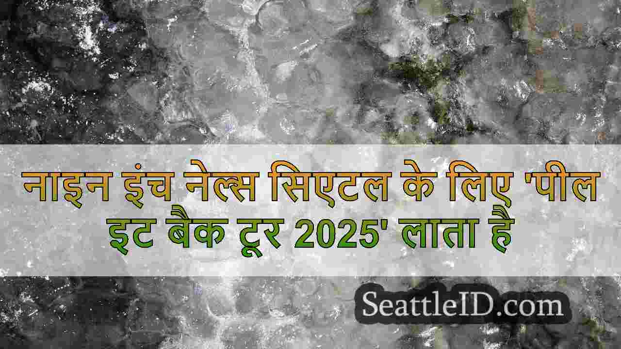 सिएटल समाचार SeattleID