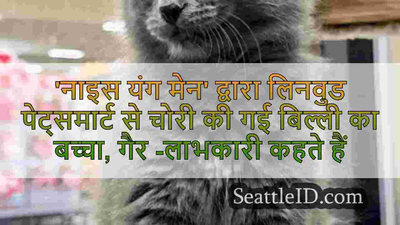 सिएटल समाचार SeattleID